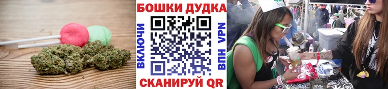 Canna-Cookies конопля Кузнецк