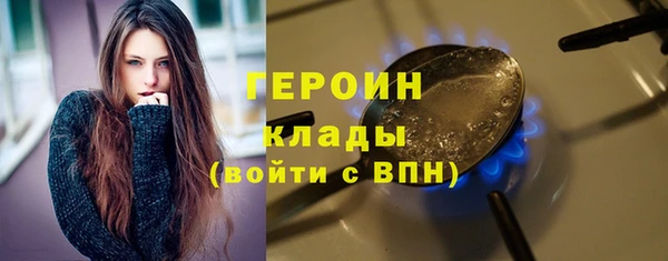 шишки Снежногорск
