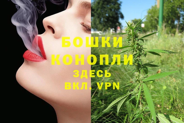 дурь Белокуриха