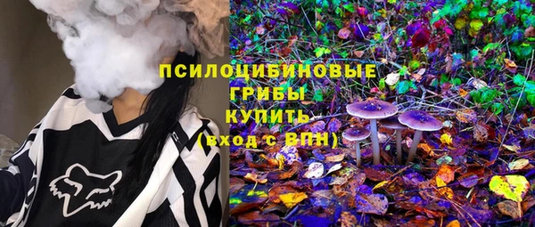 крисы Белоозёрский