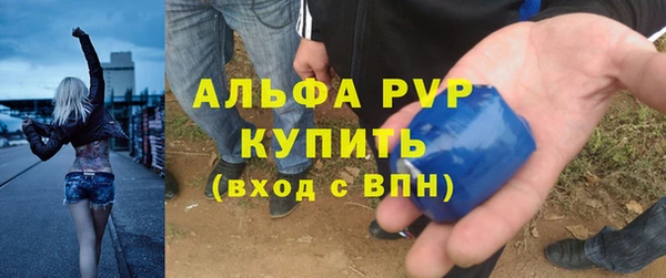 крисы Белоозёрский