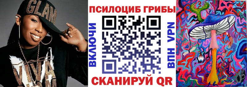 сколько стоит  Кузнецк  Псилоцибиновые грибы прущие грибы 